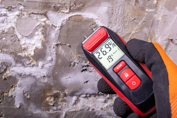 Best Mold Testing  in Fairmont, NC