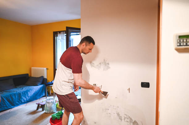 Best Best Mold Removal Companies  in Fairmont, NC