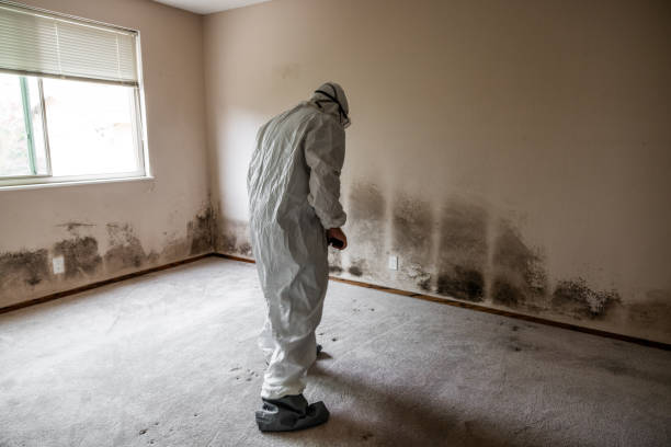 Best Mold Cleaning Services  in Fairmont, NC