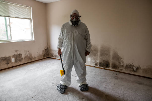Water Damage Restoration in Fairmont, NC