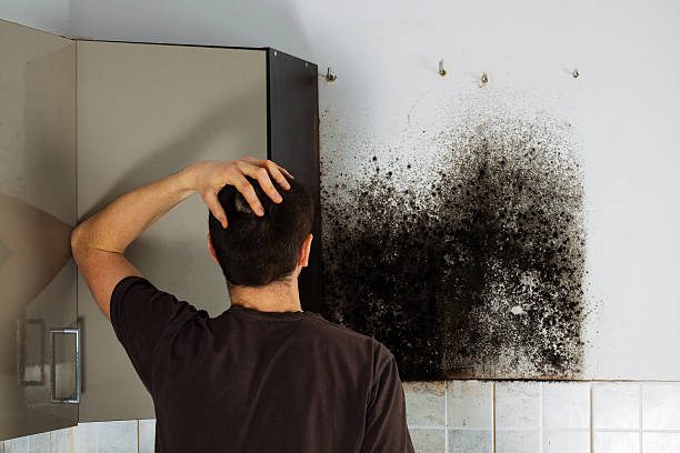 Mold Removal Process in Fairmont, NC