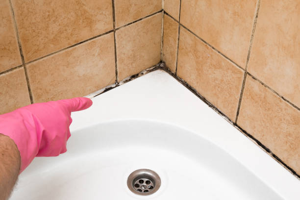 Best Certified Mold Removal  in Fairmont, NC